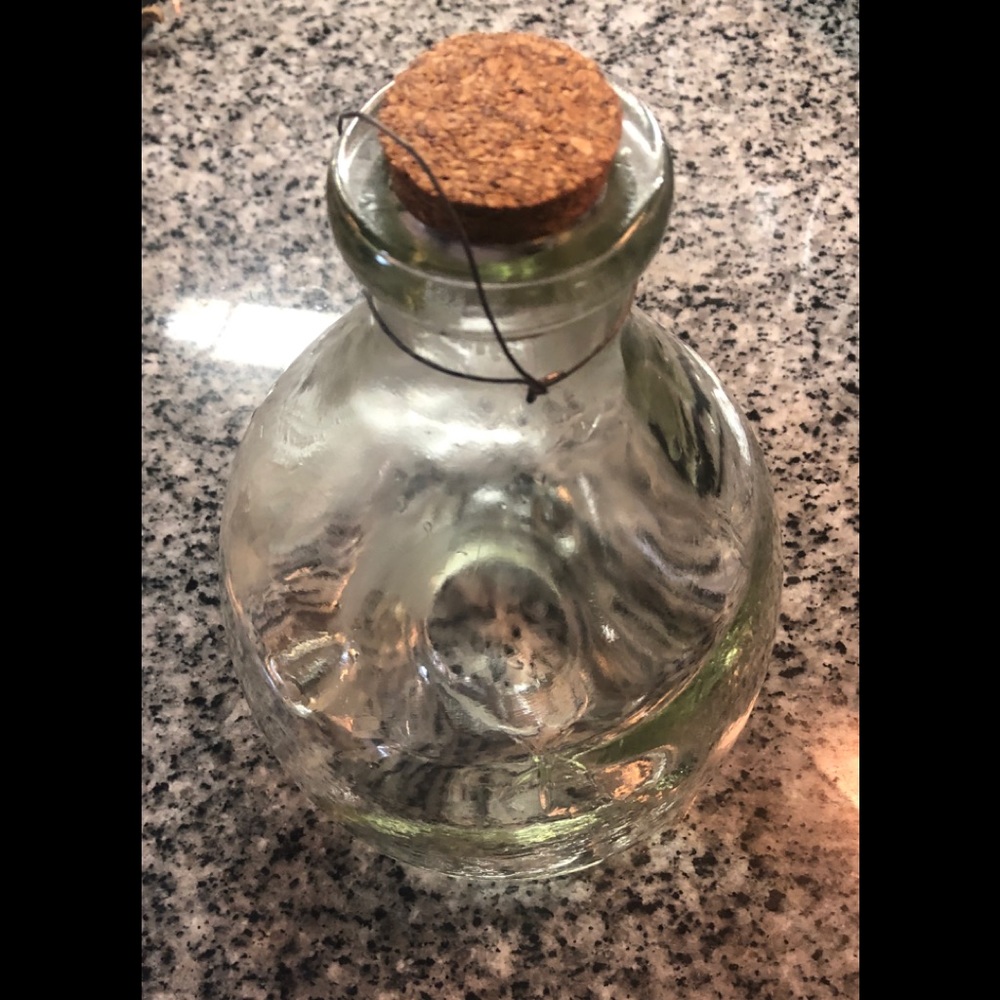 Wasp insect trap. Clear glass decor outdoor EUC